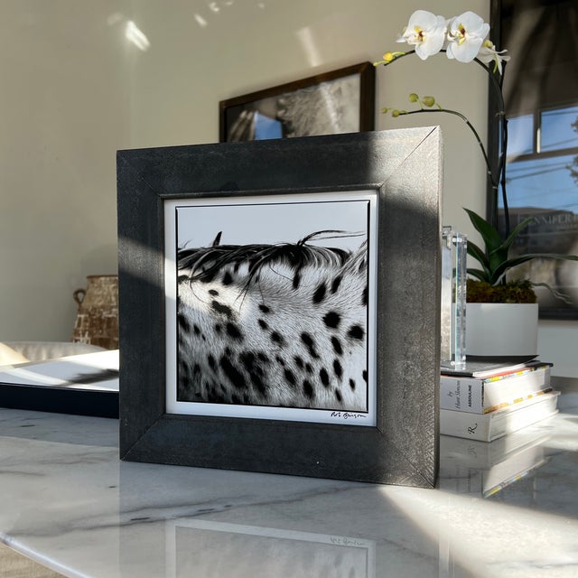 "Spotted Mane" Limited Edition Print by Rob Brinson For Sale In West Palm - Image 6 of 13