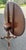 Typical high quality copy of a genuine 18th century antique tilt top table made by Kittinger probably in the 1970's. Model...