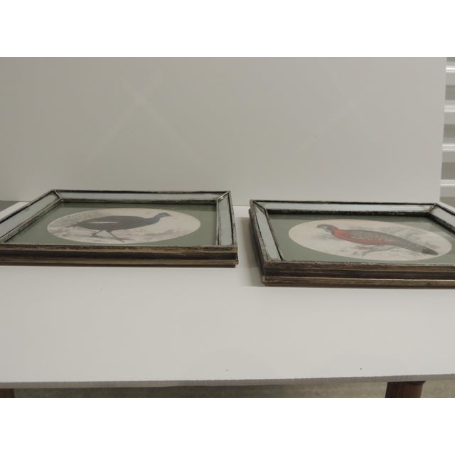 Vintage Framed Resin Prints of Guinea Fowls - Set of 2 Inset mirror frames over wood. Clear glass inset and matting....
