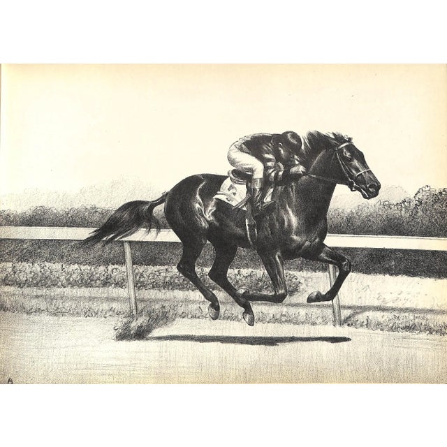 White "Black, Bay and Chestnut: Profiles of Twenty Favorite Horses" 1939 Anderson, c.w. For Sale - Image 8 of 10