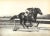 White "Black, Bay and Chestnut: Profiles of Twenty Favorite Horses" 1939 Anderson, c.w. For Sale - Image 8 of 10