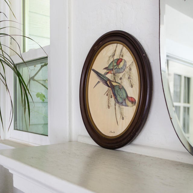 J Gould 19th Century Red Capped Parakeet Reproduction Print in Oval Frame For Sale - Image 4 of 7