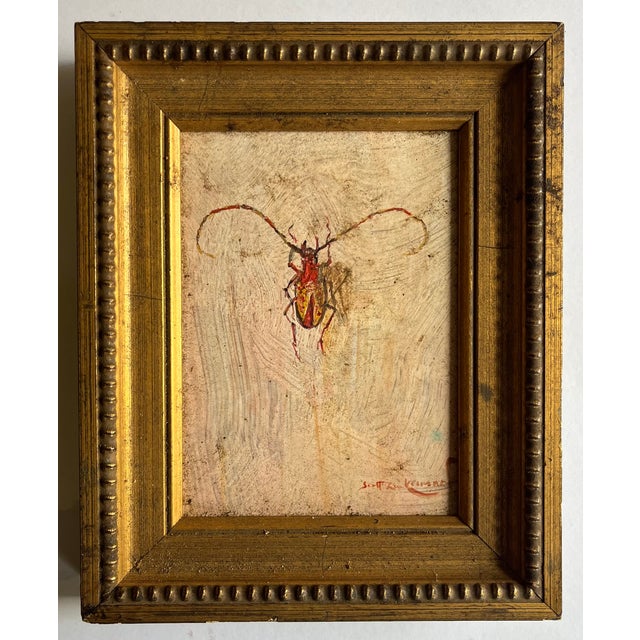 Scott Zuckerman (American B. 1951) Oil Painting on Board Insect Specimen Study of a Beetle For Sale In New York - Image 6 of 8