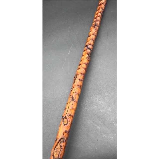 Victorian Antique Victorian Brussel Sprout Stalk Walking Stick, Sterling Silver Adornment For Sale - Image 3 of 17