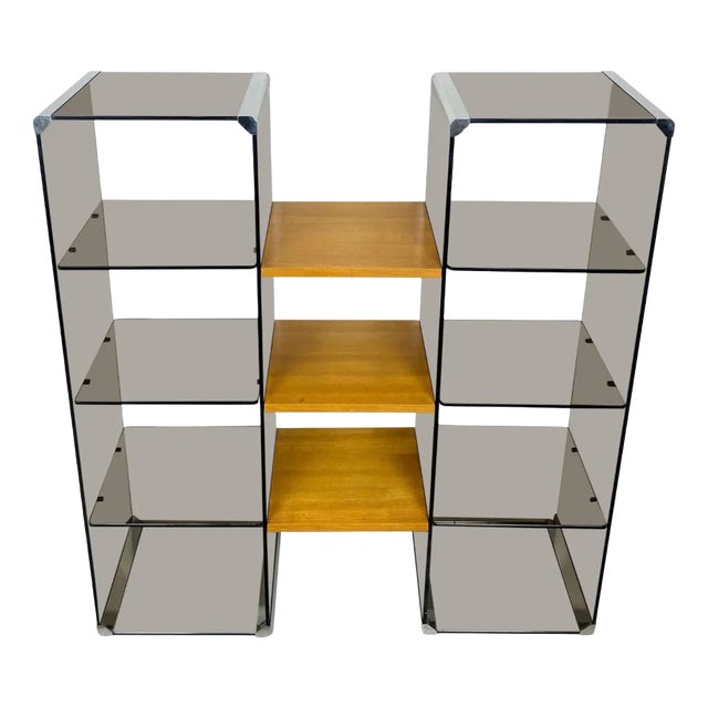 Chrome, Smoked Glass & Wood Bookshelf Étagère by Gallotti & Radice, Italy, 1970s For Sale