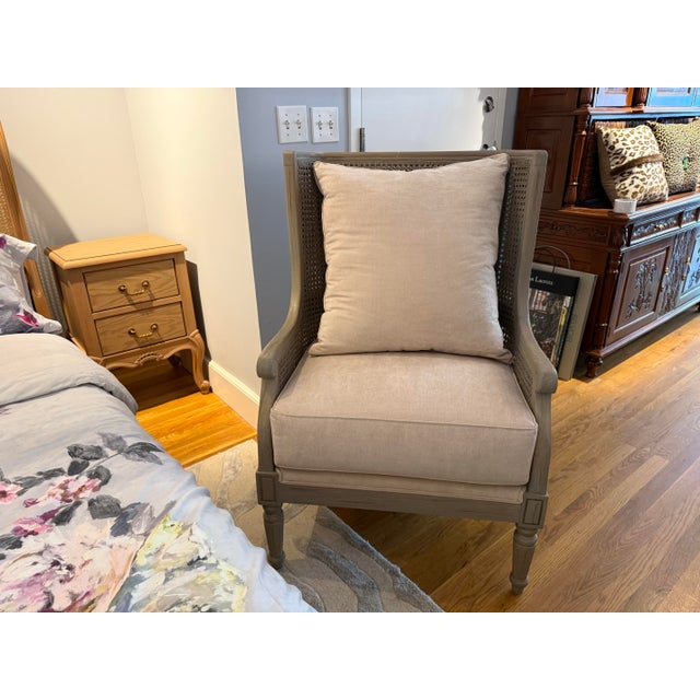 Cane Armchair Reclaimed Weathered Grey Wash For Sale - Image 12 of 12