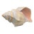 Vintage Oversized Hand-Painted Oversized Conch Shell Sculpture For Sale