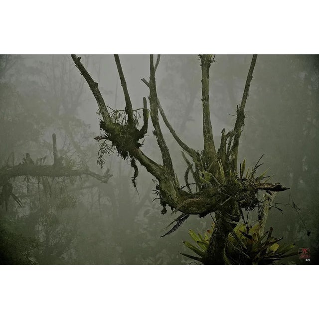 Printed on Acrylic Jean-Charles Mandou is a French photographer born in 1962 who lives between France & Brazil. He studied...