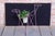 Mid-Century Czech Flower Stand in Painted Metal, 1950s For Sale - Image 3 of 8
