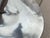 Plateau and Aluminum Pole Tray, 1970s For Sale - Image 9 of 14