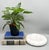 Stunning late 20th to early 21st-century white marble catchall dish with softly rounded edges and subtle natural gray...
