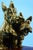 Carmelo Ganci, Scottish Terrier Dog Sculpture, Ceramic For Sale - Image 10 of 18