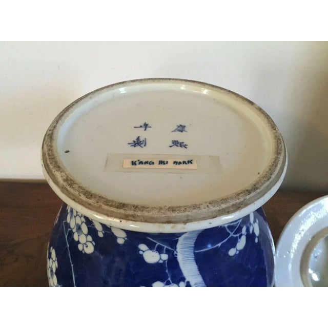 19th Century Chinese Blue & White Porcelain Prunus or Hawthorne Urn For Sale - Image 10 of 11