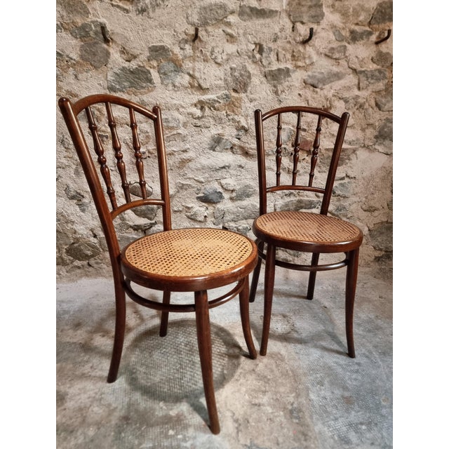 Antique Vienna Bentwood Chairs by Jacob & Josef Kohn, Austria, 1930s, Set of 2 For Sale - Image 17 of 18
