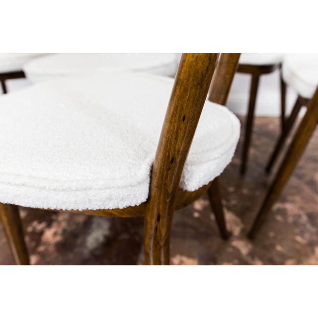 Mid-Century Modern Model No. 124 Chairs attributed to Helena & Jerzy Kurmanowicz, Poland, 1960s, Set of 6 For Sale - Image 3 of 16