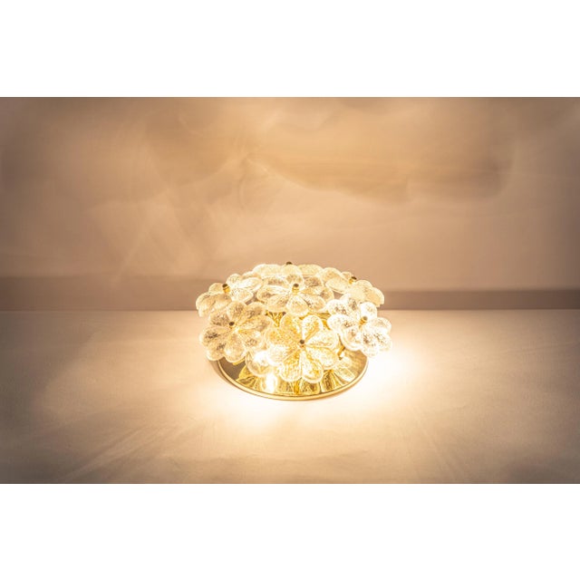 Petite German Glass Flower Wall Light by Ernst Palme, 1970s For Sale - Image 10 of 11