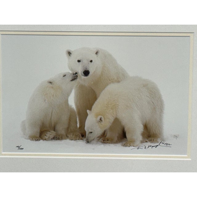Thomas Mangelsen Images of Nature Collection of Polar Expressions Photography, Signed For Sale In San Francisco - Image 6 of 12