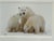 Thomas Mangelsen Images of Nature Collection of Polar Expressions Photography, Signed For Sale In San Francisco - Image 6 of 12