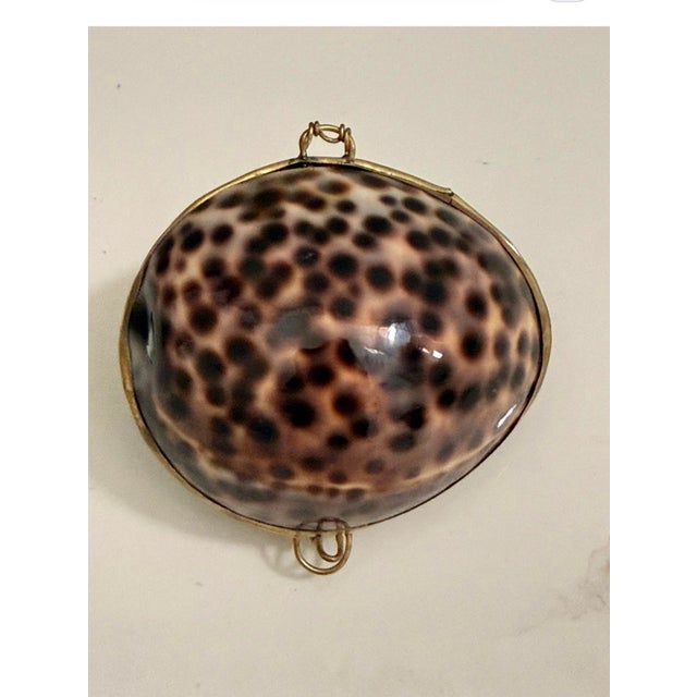 Hollywood Regency Mid 20th Century Victorian Cowrie Shell Nautical Keepsake Box For Sale - Image 4 of 8