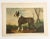 1948 Book Plate Print of a Bull Terrier Dog For Sale - Image 4 of 7