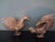 1950s Couple of Fighting Rooster Brass Figurine, 1955, Set of 2 For Sale - Image 5 of 5