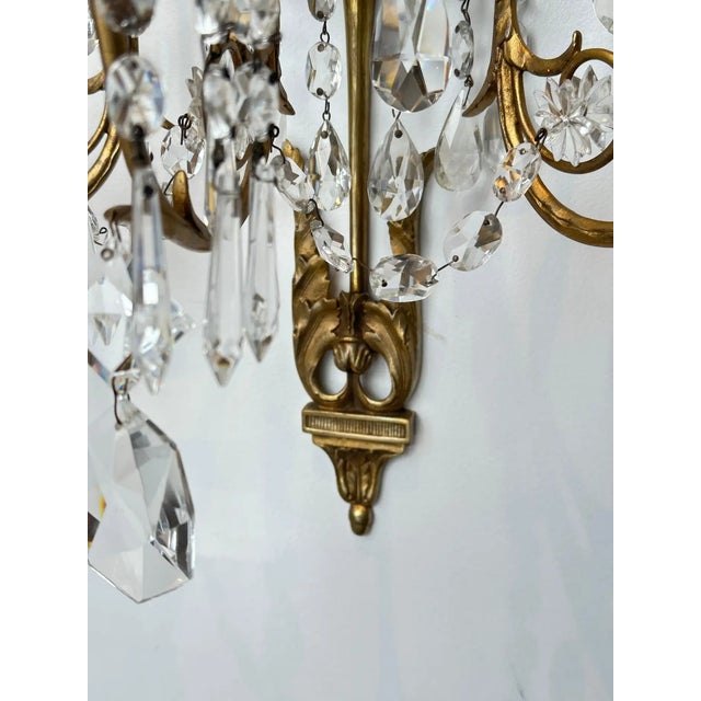 Set of Four 19th Century Baltic Neoclassical Sconces For Sale In Boston - Image 6 of 8