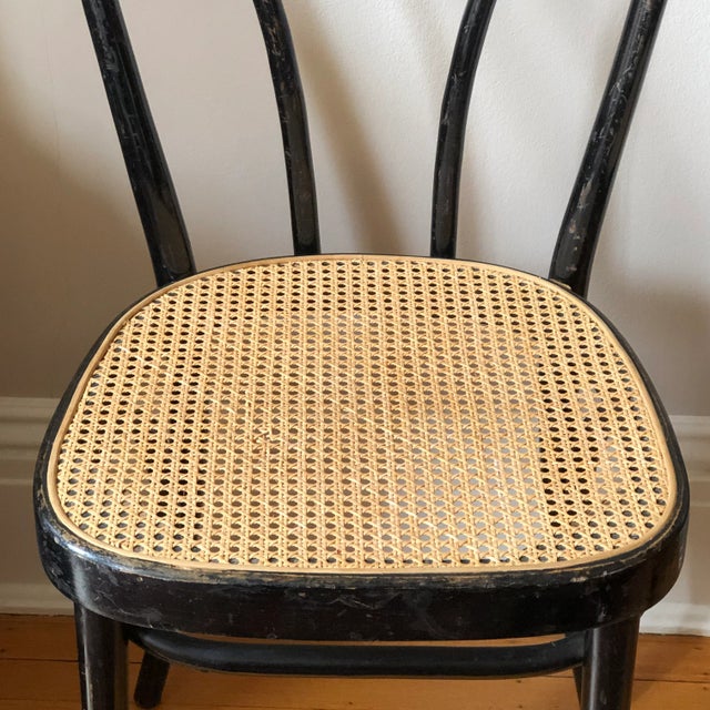 Early/Mid-20th Century Italian Bentwood Bistro Cafe Chairs — a Pair For Sale - Image 4 of 12