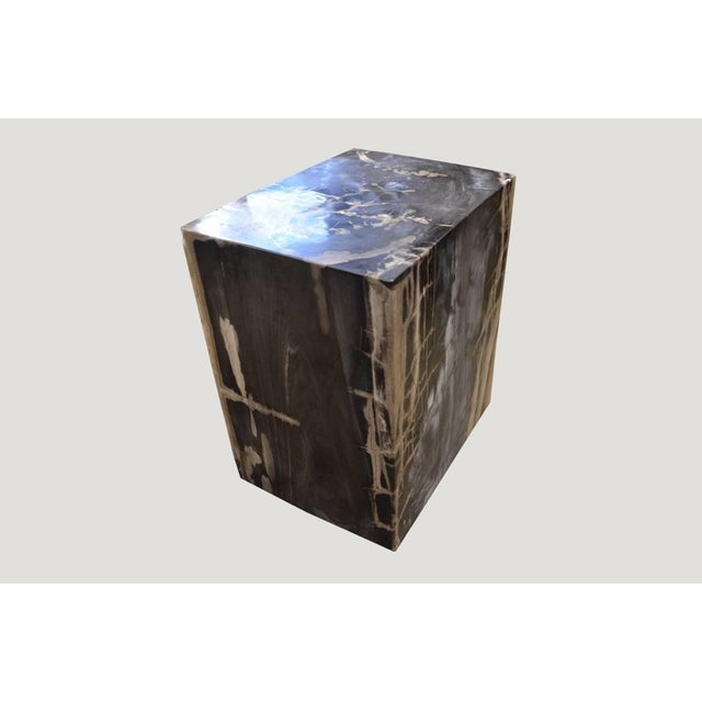 Andrianna Shamaris Petrified Wood Side Table For Sale - Image 10 of 18