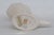 Ceramic Lenox China Decorative Porcelain Cornucopia Made in Usa With 24k Gold Trim 4928b For Sale - Image 7 of 12