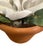 Metal Vintage Petite Potted French Porcelain Bisque & Tole White Rose Flower / Floral Arrangement in Terracotta Pot For Sale - Image 7 of 7