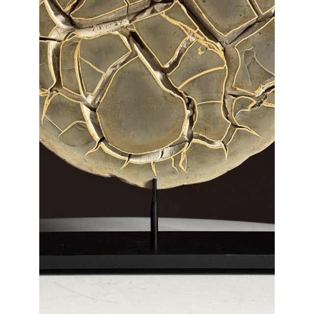 Septarian Nodule on Stand For Sale - Image 13 of 14