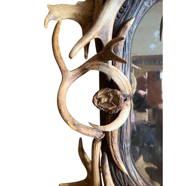 Wood Antler Mirror German Antique For Sale - Image 7 of 9