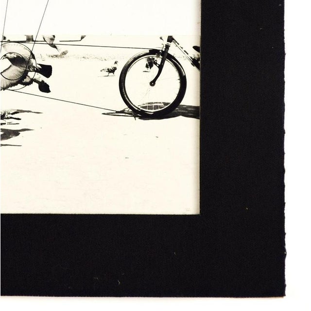 Pino Settanni, Birds, 1970s, Photography, Framed For Sale - Image 4 of 5