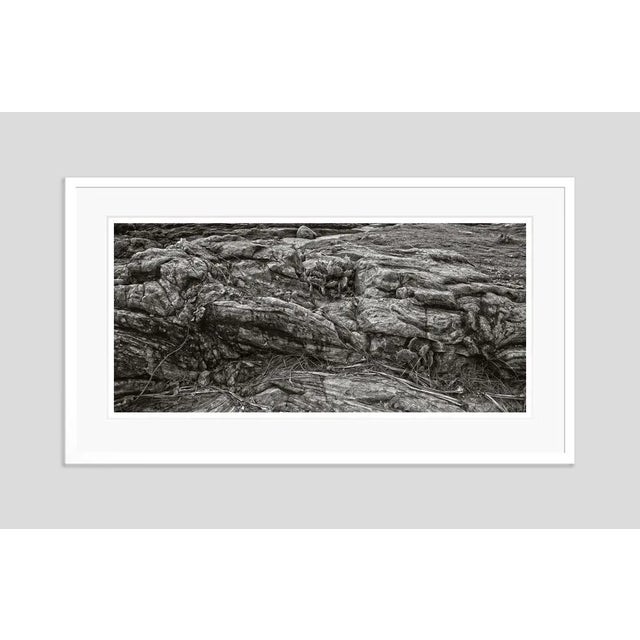Unforgiven' by Stuart Möller Rocks and cacti near a coastline. Photo Stuart Christian Möller. Archival Pigment Print...