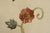 Wood Antique 18th C. Mahogany Firescreen W. Crewelwork For Sale - Image 7 of 16