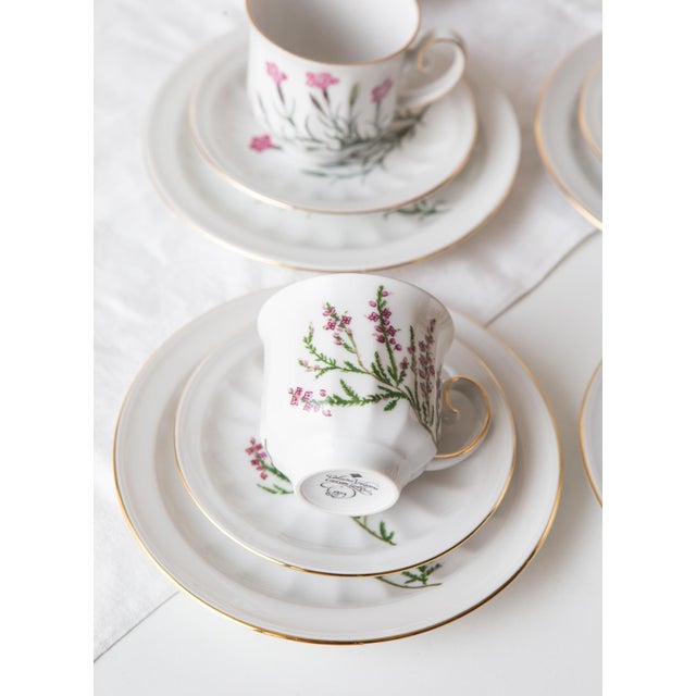 Coffee and Dessert from Tettau, 1976, Set of 28 For Sale - Image 9 of 18