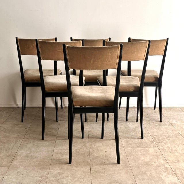 Dining Chairs in Black Lacquered Wood and Velvet attributed to Silvio Cavatorta, Italy, 1950s, Set of 6 For Sale - Image 11 of 12