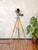 Electric Patt 123 Theater Spotlight Floor Lamp on Wooden Berlebach Tripod from Strand, 1950s For Sale - Image 9 of 18