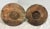 Pair Antique Hand Carved Dog Architectural Salvage Wall Sculpture Conklin Port For Sale - Image 10 of 13
