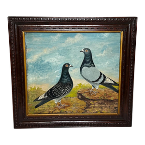 Old Badge Hen & Champion Cock Racing Pigeons Oil Portrait Winner Whitley Bay 1909 in the Manner of Andrew Beer.