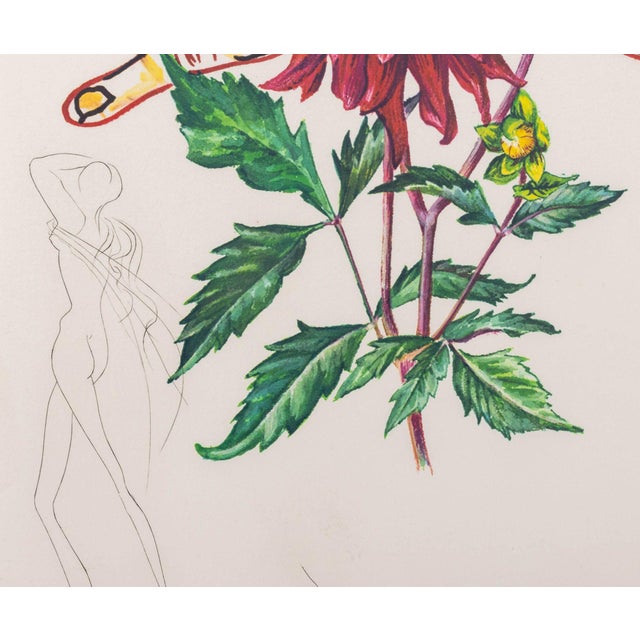 Salvador Dali "Dahlia (Fingers)" Etching, 1972 For Sale In New York - Image 6 of 12