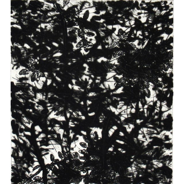 This artwork titled "Garden" 1997, is an original etching on Wove paper by noted American artist Charles Eckart, b.1935....