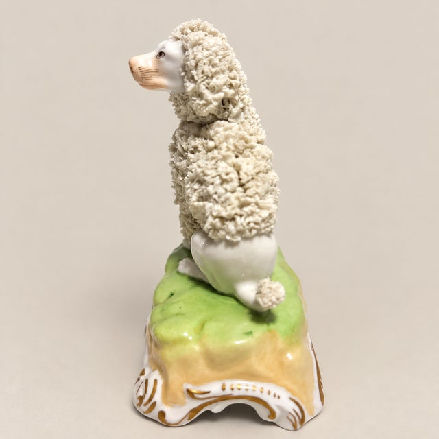 Rococo Antique Dresden Germany Porcelain Poodle With Applied Floral Encrustation For Sale - Image 3 of 7