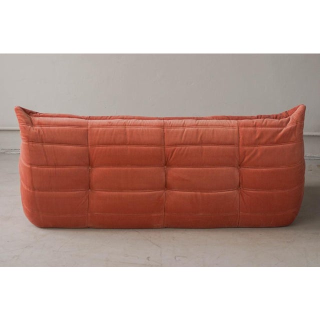 Ligne Roset Coral Corduroy Togo Three-Seat Sofa by Michel Ducaroy for Ligne Roset For Sale - Image 4 of 12