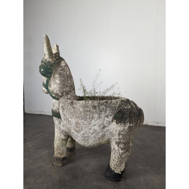 Cement Donkey Garden Decoration For Sale - Image 6 of 10