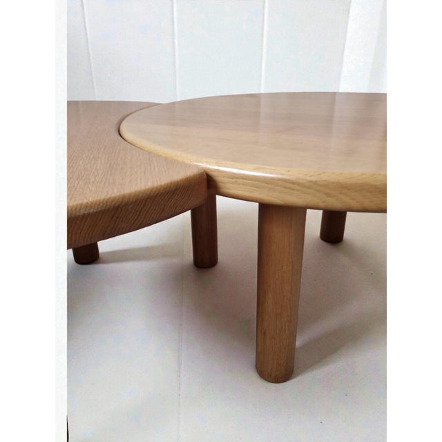 2000 - 2009 Redureau Organic Coffee Table Set, 2000s, Set of 2 For Sale - Image 5 of 12