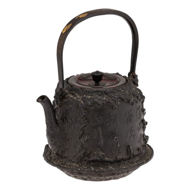 Antique Japanese Cast Iron Seiryudoa Carved Tetsubin Kettle, 1890s For Sale