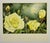 1980s Jo Cartwright Yellow Roses Watercolor For Sale - Image 5 of 6