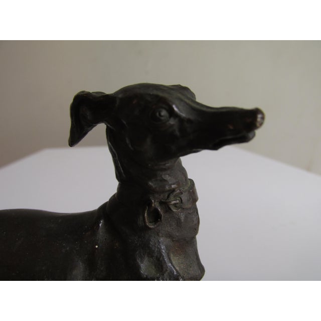 1900 - 1909 Antique French Bronze Depicting a Standing Whippet For Sale - Image 5 of 11