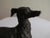 1900 - 1909 Antique French Bronze Depicting a Standing Whippet For Sale - Image 5 of 11